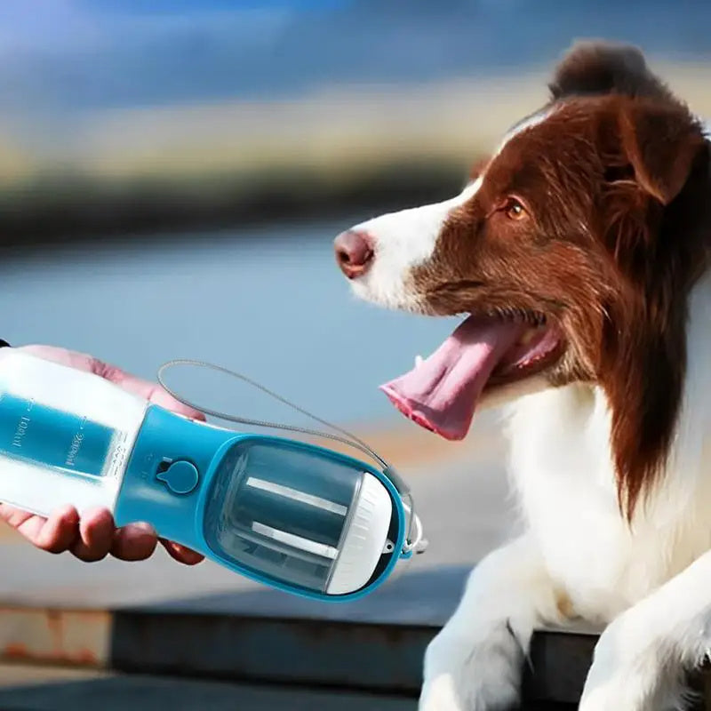 Dog Water Cup  - No More Thirst